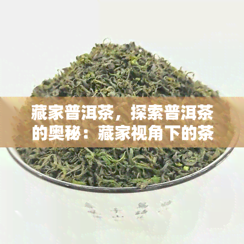 藏家普洱茶，探索普洱茶的奥秘：藏家视角下的茶叶文化