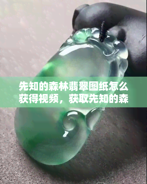 先知的森林翡翠图纸怎么获得视频，获取先知的森林翡翠图纸教程：视频讲解