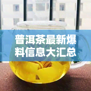 普洱茶最新爆料信息大汇总