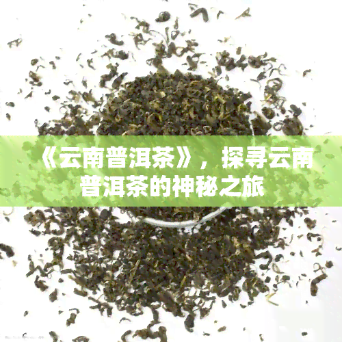 《云南普洱茶》，探寻云南普洱茶的神秘之旅