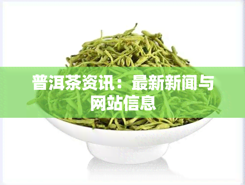 普洱茶资讯：最新新闻与网站信息