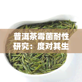 普洱茶霉菌耐性研究：度对其生存能力的影响