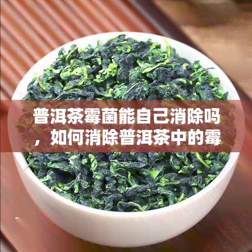 普洱茶霉菌能自己消除吗，如何消除普洱茶中的霉菌？