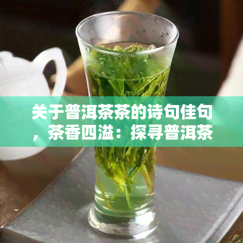 关于普洱茶茶的诗句佳句，茶香四溢：探寻普洱茶的诗句佳句