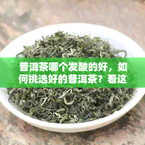 普洱茶哪个发酸的好，如何挑选好的普洱茶？看这里！