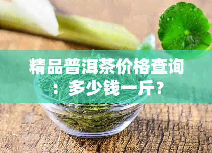 精品普洱茶价格查询：多少钱一斤？