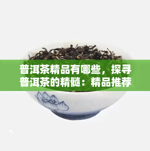 普洱茶精品有哪些，探寻普洱茶的精髓：精品推荐与品鉴指南