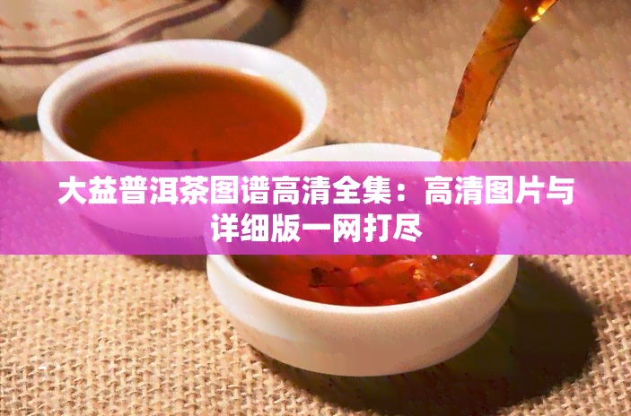 大益普洱茶图谱高清全集：高清图片与详细版一网打尽