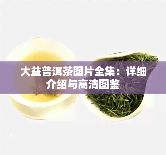 大益普洱茶图片全集：详细介绍与高清图鉴