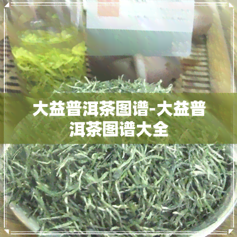 大益普洱茶图谱-大益普洱茶图谱大全