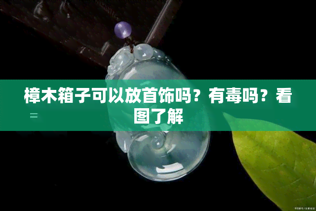 樟木箱子可以放首饰吗？有吗？看图了解