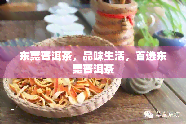 东莞普洱茶，品味生活，首选东莞普洱茶