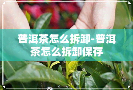 普洱茶怎么拆卸-普洱茶怎么拆卸保存