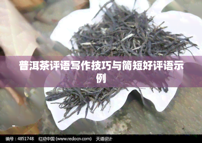 普洱茶评语写作技巧与简短好评语示例