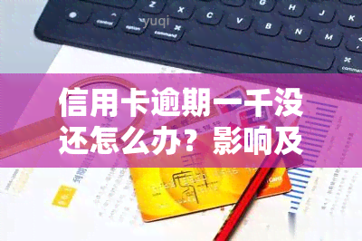 信用卡逾期一千没还怎么办？影响及解决办法