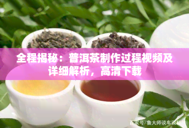 全程揭秘：普洱茶制作过程视频及详细解析，高清下载