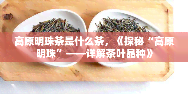 高原明珠茶是什么茶，《探秘“高原明珠”——详解茶叶品种》