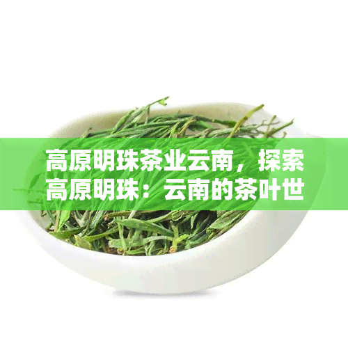 高原明珠茶业云南，探索高原明珠：云南的茶叶世界