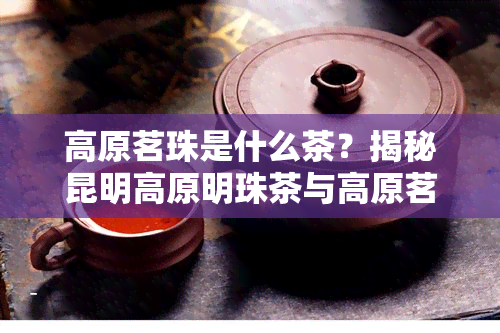 高原茗珠是什么茶？揭秘昆明高原明珠茶与高原茗珠茶叶