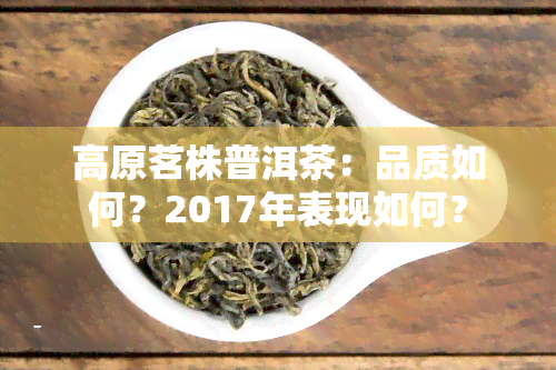 高原茗株普洱茶：品质如何？2017年表现如何？