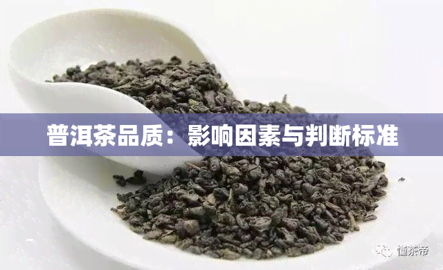 普洱茶品质：影响因素与判断标准