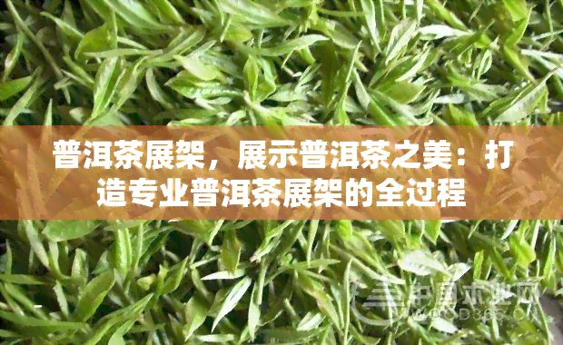 普洱茶展架，展示普洱茶之美：打造专业普洱茶展架的全过程