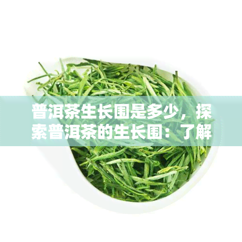 普洱茶生长围是多少，探索普洱茶的生长围：了解这种独特茶叶的产地和气候条件