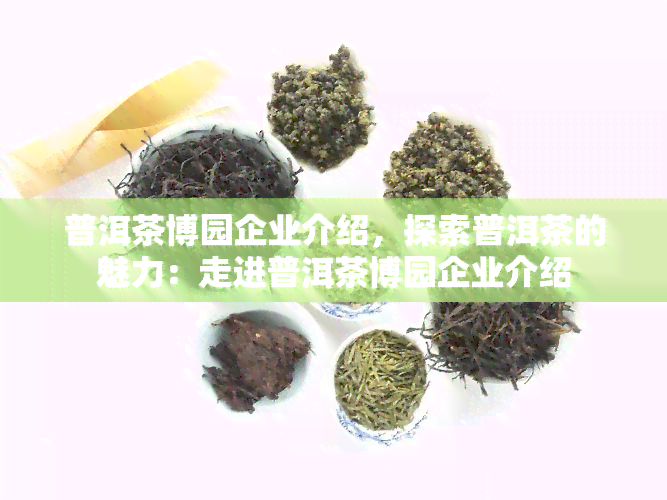 普洱茶博园企业介绍，探索普洱茶的魅力：走进普洱茶博园企业介绍