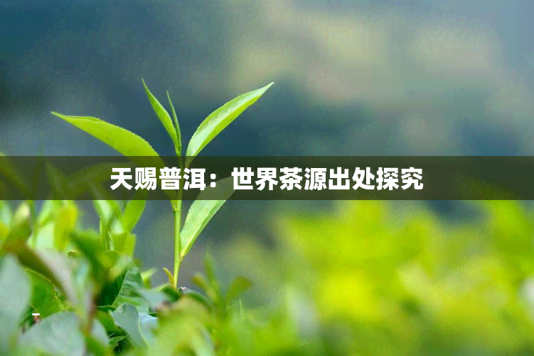 天赐普洱：世界茶源出处探究