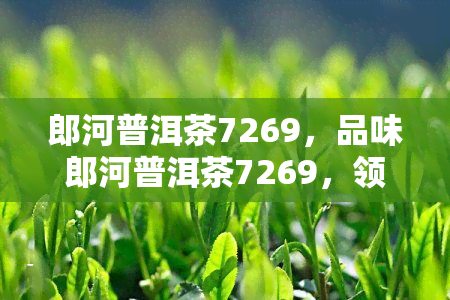 郎河普洱茶7269，品味郎河普洱茶7269，领略云南茶叶的独特魅力