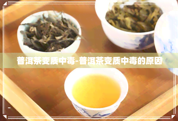 普洱茶变质中-普洱茶变质中的原因