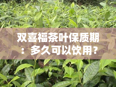 双喜福茶叶保质期：多久可以饮用？