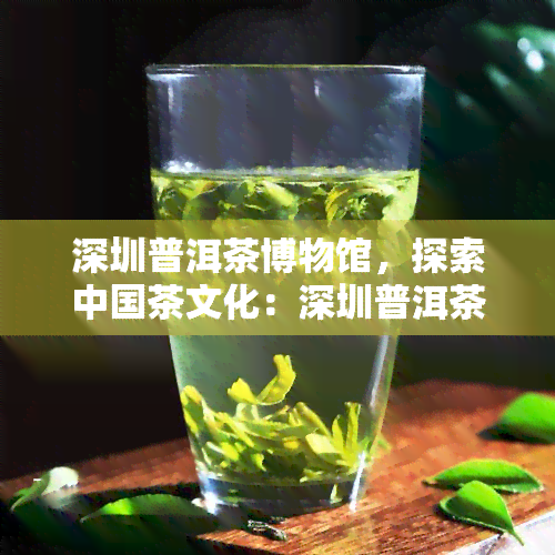 深圳普洱茶博物馆，探索中国茶文化：深圳普洱茶博物馆之旅