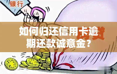 如何归还信用卡逾期还款诚意金？