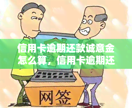 信用卡逾期还款诚意金怎么算，信用卡逾期还款诚意金计算方法详解