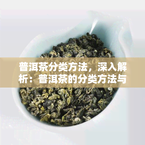 普洱茶分类方法，深入解析：普洱茶的分类方法与特点