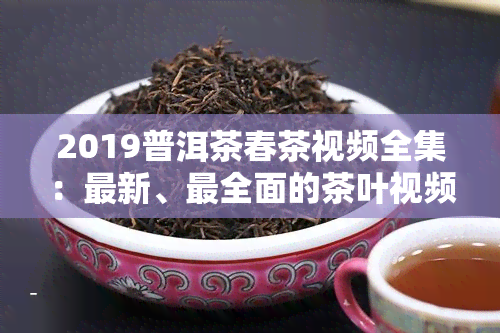 2019普洱茶春茶视频全集：最新、最全面的茶叶视频