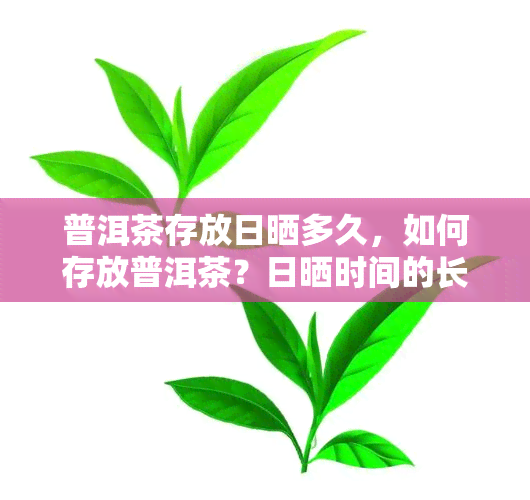 普洱茶存放日晒多久，如何存放普洱茶？日晒时间的长短有何影响？