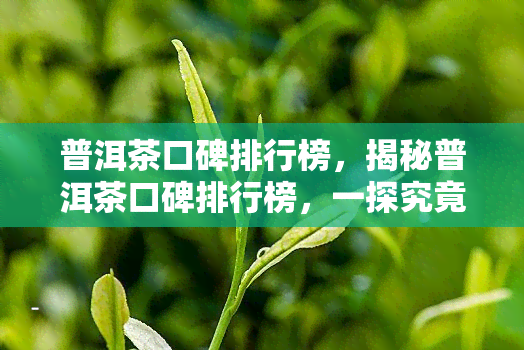 普洱茶口碑排行榜，揭秘普洱茶口碑排行榜，一探究竟！