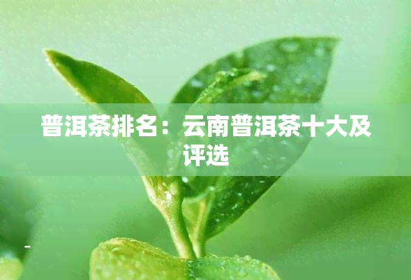 普洱茶排名：云南普洱茶十大及评选