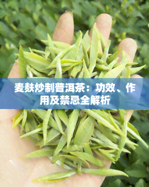 麦麸炒制普洱茶：功效、作用及禁忌全解析