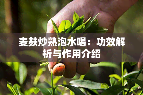 麦麸炒熟泡水喝：功效解析与作用介绍