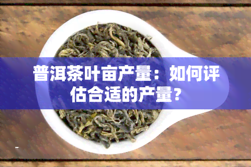 普洱茶叶亩产量：如何评估合适的产量？