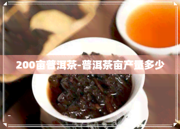 200亩普洱茶-普洱茶亩产量多少