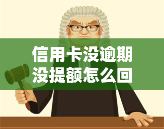 信用卡没逾期没提额怎么回事，信用卡无逾期为何未获提升额度？原因解析