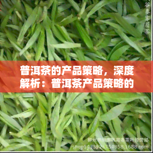 普洱茶的产品策略，深度解析：普洱茶产品策略的制定与实