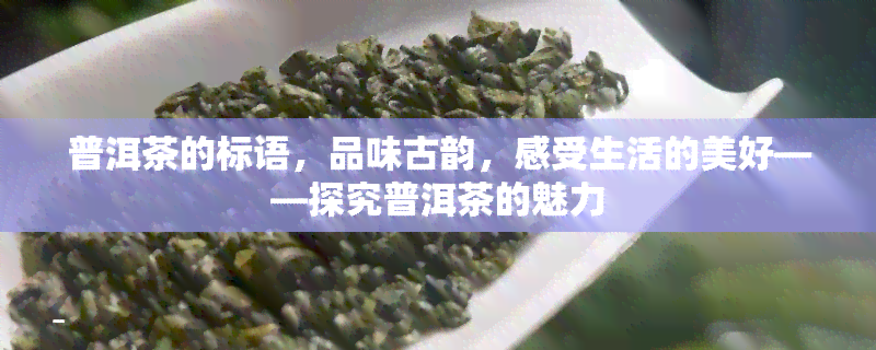 普洱茶的标语，品味古韵，感受生活的美好——探究普洱茶的魅力