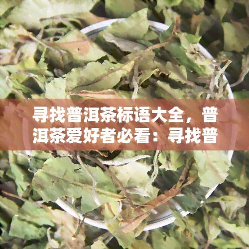 寻找普洱茶标语大全，普洱茶爱好者必看：寻找普洱茶标语大全