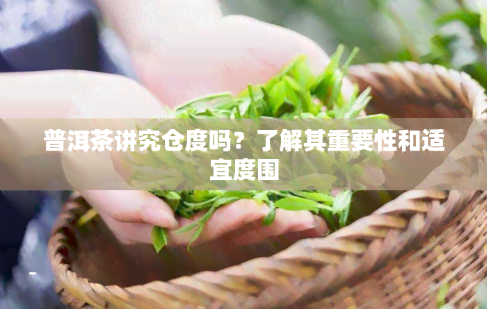 普洱茶讲究仓度吗？了解其重要性和适宜度围