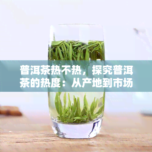 普洱茶热不热，探究普洱茶的热度：从产地到市场的变迁与影响